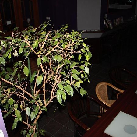 Club Hotel Praha 外观 照片