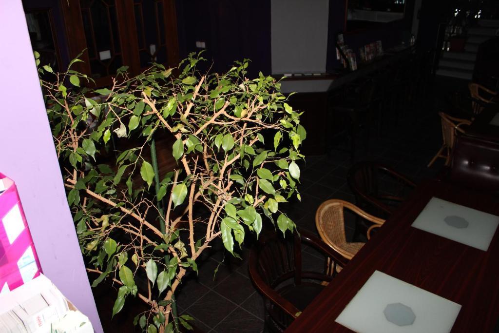 Club Hotel Praha 外观 照片